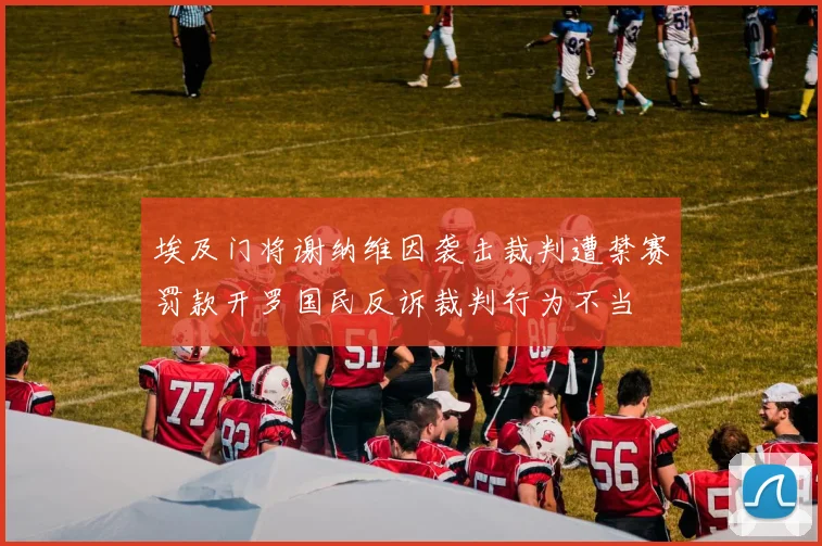 埃及门将谢纳维因袭击裁判遭禁赛罚款开罗国民反诉裁判行为不当