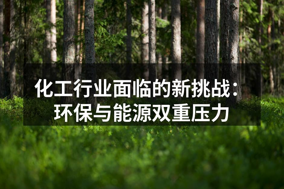 化工行业面临的新挑战：环保与能源双重压力